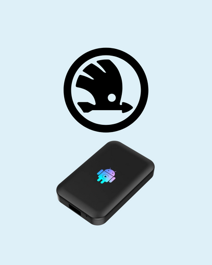 AI-Box YouTube et Netflix pour Skoda
